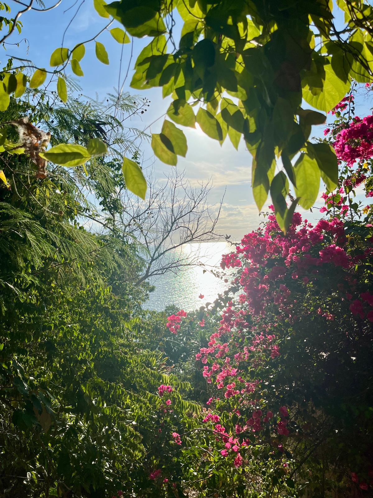4-Day Serenity Seaview Sanctuary, Koh Phangan