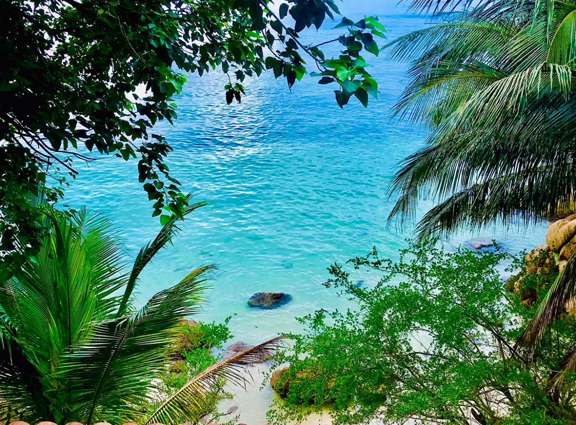 5 Day Ecstatic Dance Retreat