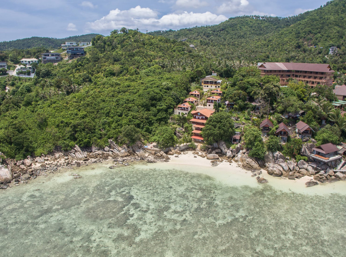 Between the Emerald Jungle & the Infinite Sea ~